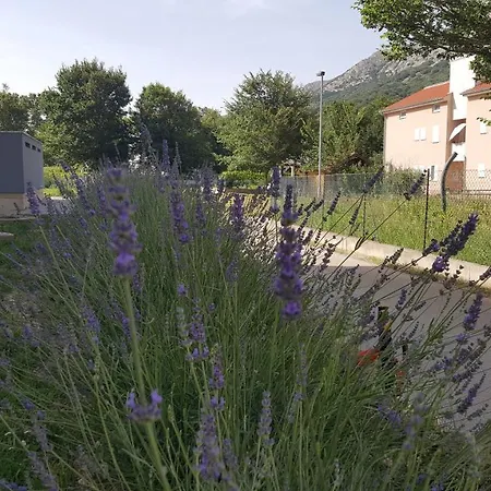 Artemis Apartmán *