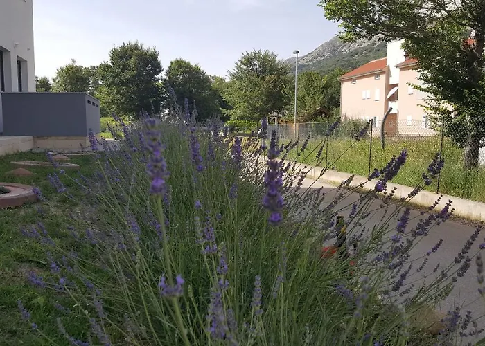 Artemis Apartamento *